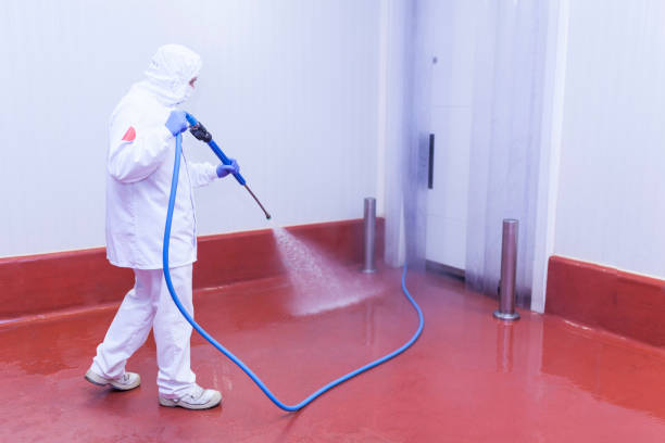 Best Rust Removal  in Oxford, OH